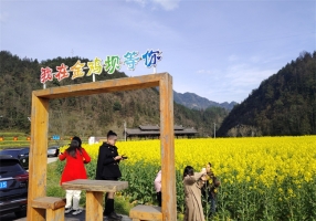 黔江：乡村美景入画来