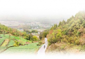 巫山杨坝村村医李尚发获评第十批全国岗位学雷锋标兵 大山深处的“雷锋医者” ...