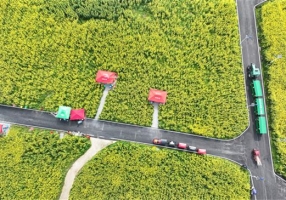 垫江：游客乐享田园小火车
