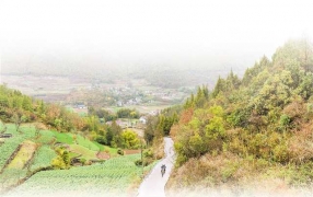 巫山杨坝村村医李尚发获评第十批全国岗位学雷锋标兵 大山深处的“雷锋医者” ...