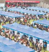 重庆大学春季双选会 600余家单位提供3万个岗位