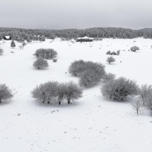 仙女山的雪又“返场”啦！带上武隆旅游通行卡，畅享限时福利 ... ...