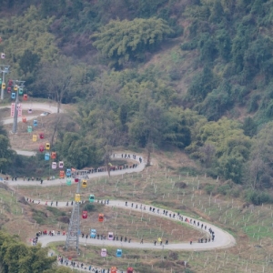 涪陵文旅春意浓 绘就美丽乡村新图景