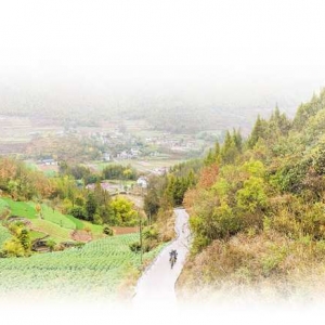 巫山杨坝村村医李尚发获评第十批全国岗位学雷锋标兵 大山深处的“雷锋医者” ...