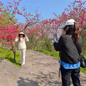 潼南：桃花源里春意闹 繁花盛景醉游人