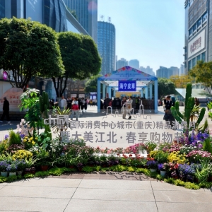 2025大美江北·春享购物节启幕 激发春日消费活力