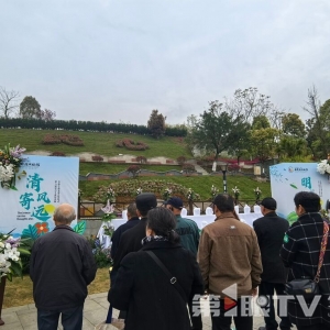 与鲜花一起“沉睡” 重庆27位逝者以生态葬回归自然
