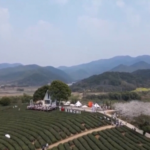春色满园 万树繁花“绽”出春日经济