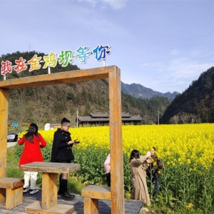 黔江：乡村美景入画来