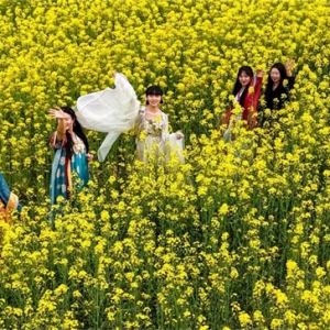 云阳这片油菜花海变身国潮打卡地